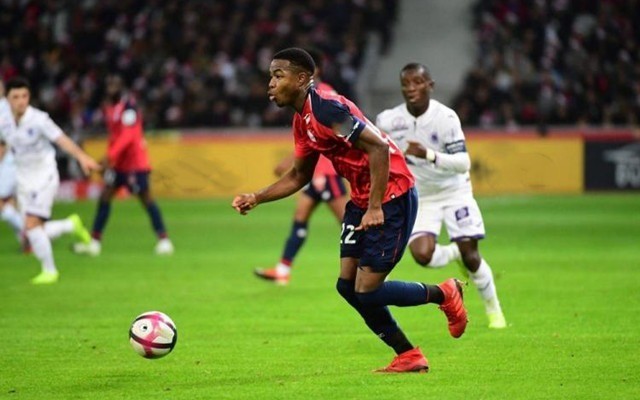 令人叹为观 令人叹为观